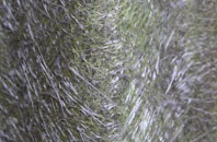 High Mickley fibreglass roof work